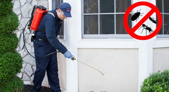 Akkışla Tahtakurusu İlaçlama böcek ilaçlama ve haşere kontrolü — ilaclama-tr.com